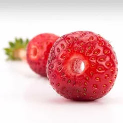 Tovolo Strawberry Huller -Food Prep Tools Shop 81 16880 strawberry huller 4