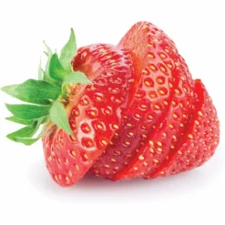 Harold Import Company Harold Imports Kitchen Deluxe Mushroom And Egg Slicer -Food Prep Tools Shop 81vqkxhfx5l. ac sl1500