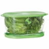 Progressive Lettuce Keeper | 4.7-Quart -Food Prep Tools Shop lks 06 use 1