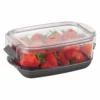 Progressive Berry Keeper | 1.2-Quart -Food Prep Tools Shop pks 910 2