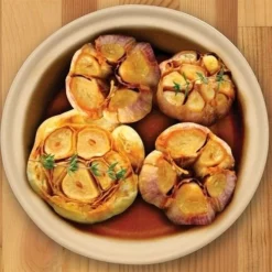 Sassafras Superstone Garlic Baker -Food Prep Tools Shop sas00075a 69532.1432666959.500.500